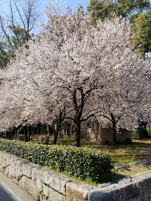 その季節はいつも来てくれる
